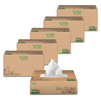 Facial Tissues 2-Ply 100 pulls - Pack of 6
