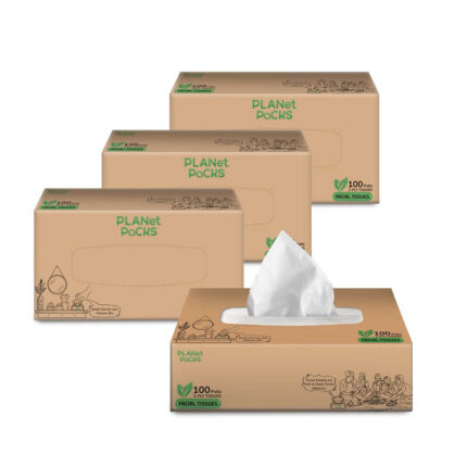 Facial Tissues 2-Ply 100 pulls - Pack of 4